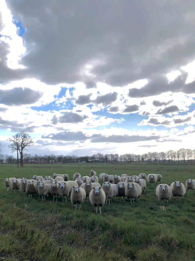 德滕福勒特尔住宿加早餐旅馆 Nieuwleusen 外观 照片